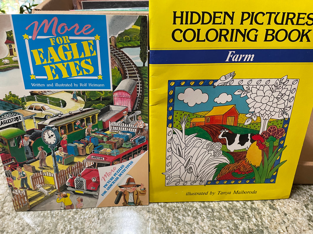 2 Books -Hidden Pictures & More for Eagle Eyes