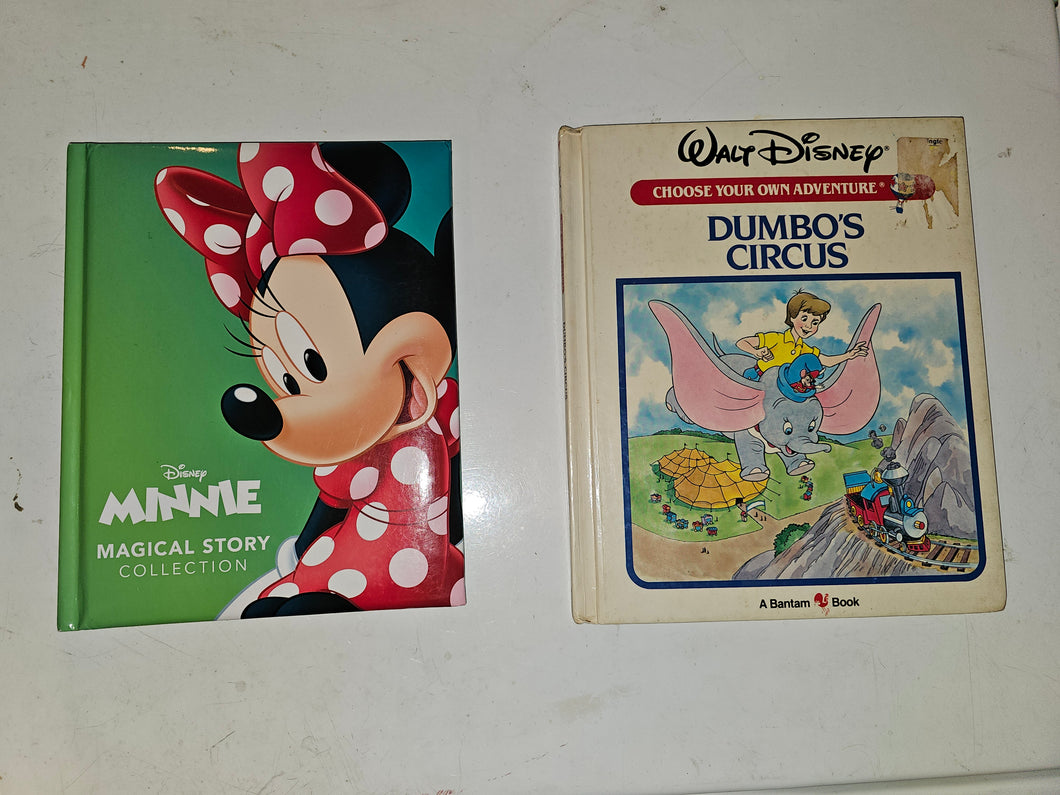 2 disney books