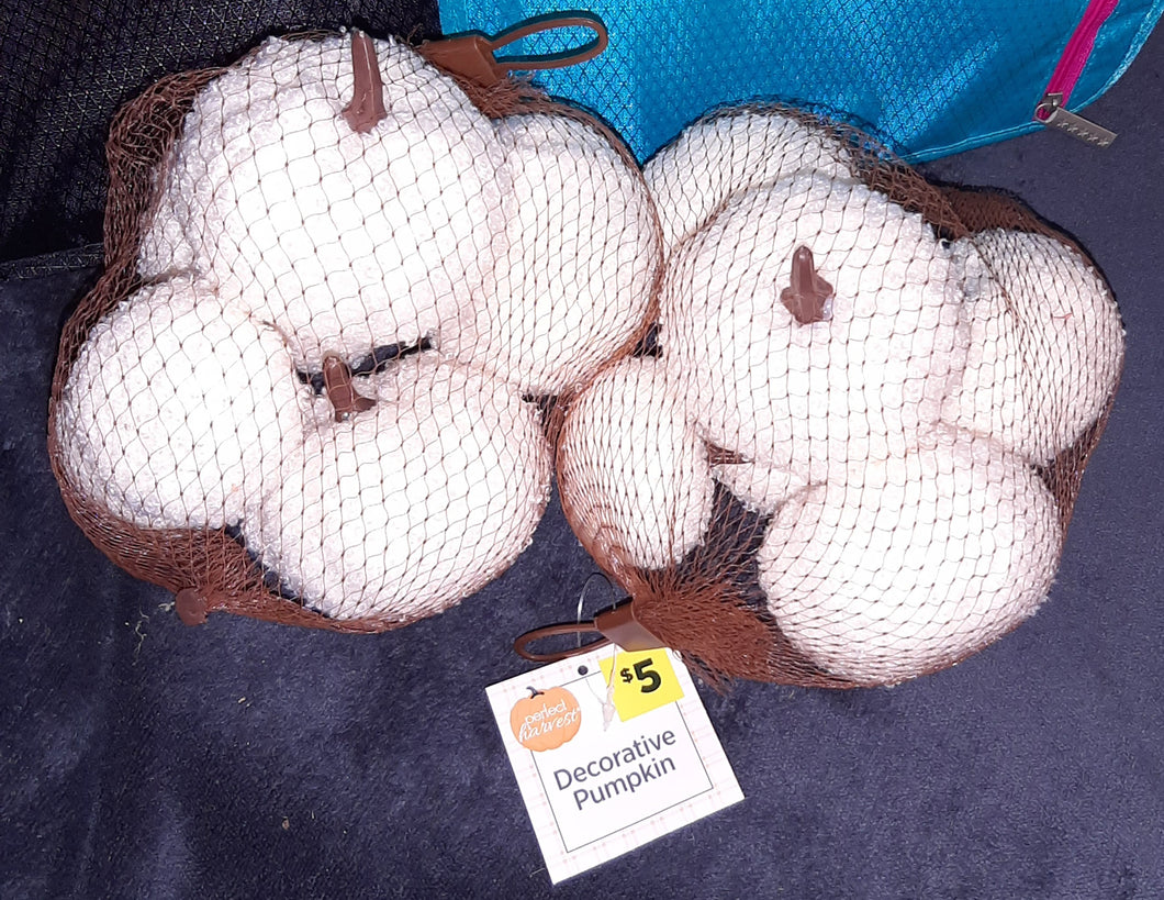 Perfect Harvest 12 decorative pumpkins