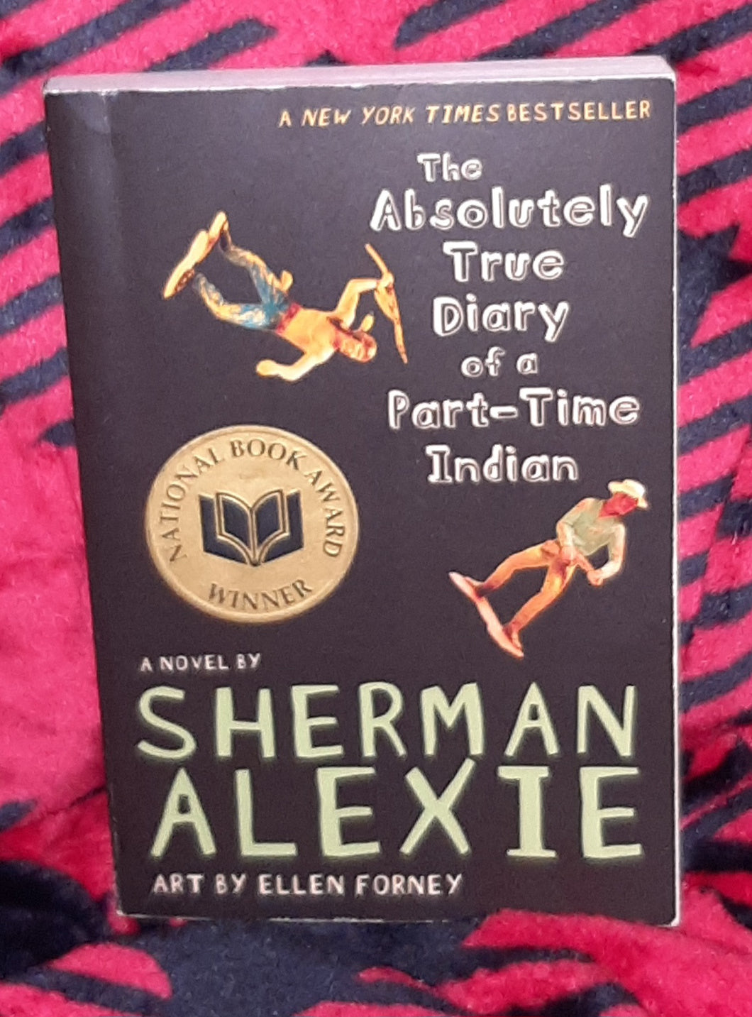 The Absolutely True Diary book
