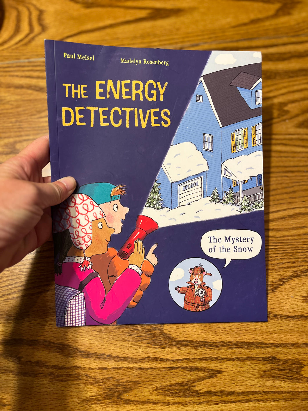 The Energy Detectives