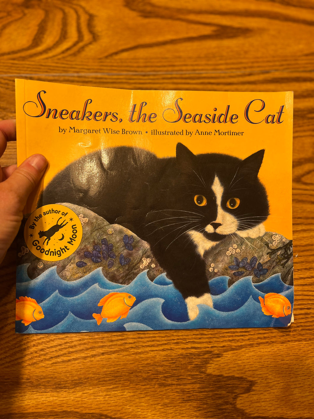 Sneakers the Seaside Cat