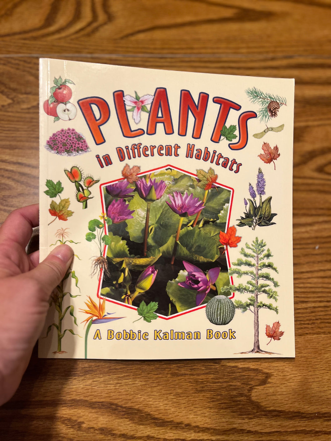 Plants in Diff Habitats