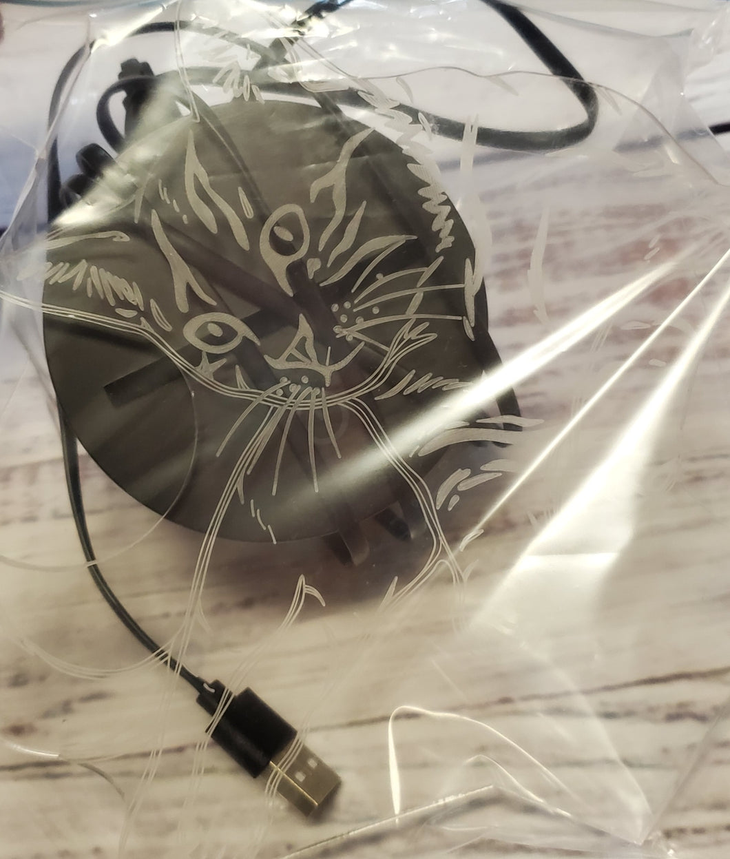 led cat light