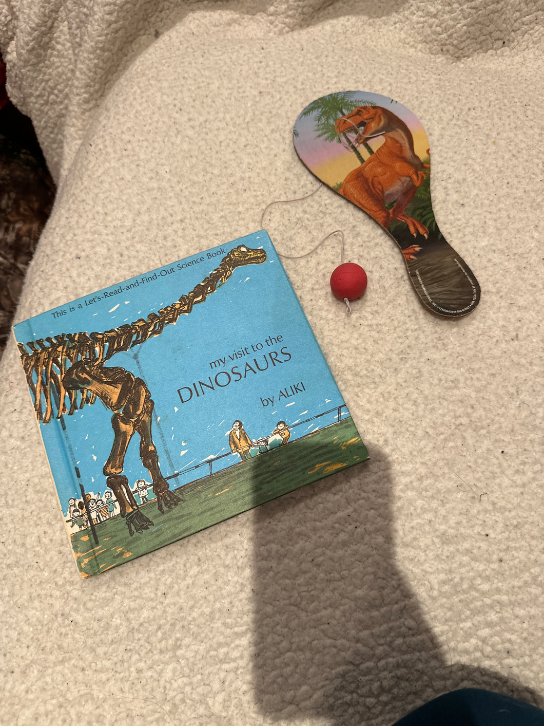 My visit to the dinosaur Book and paddle ball toy