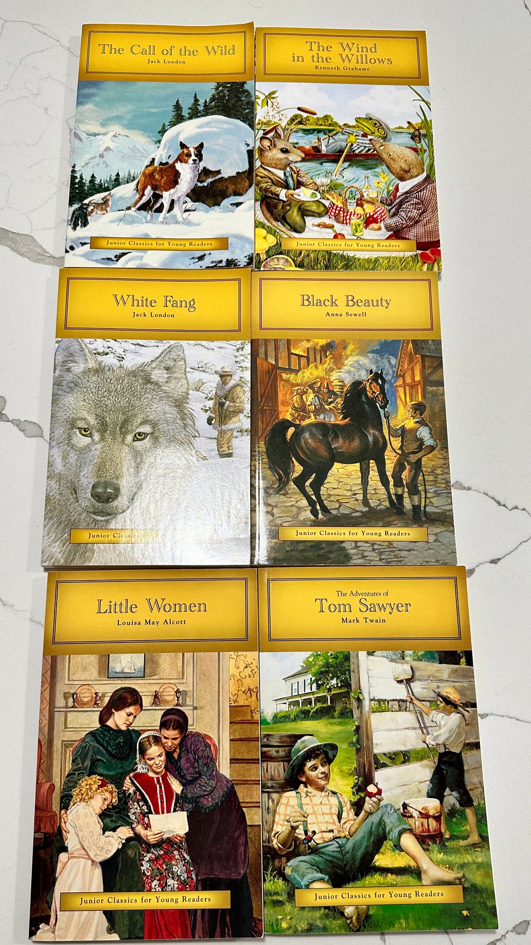 6 classic books (Tom Sawyer, black beauty,