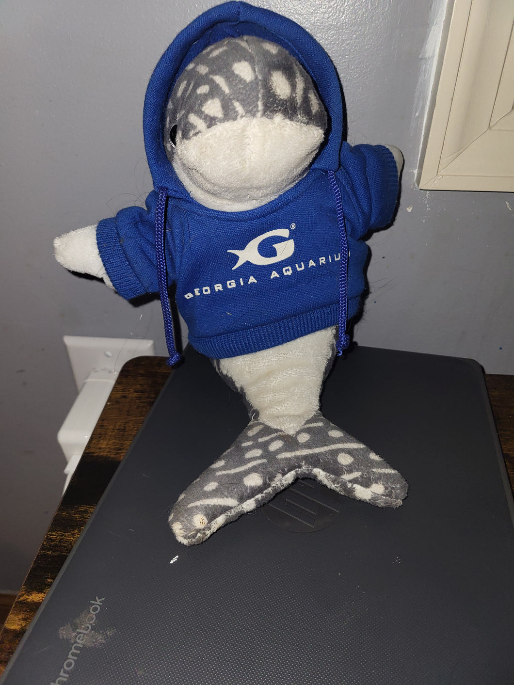 Georgia aquarium whale