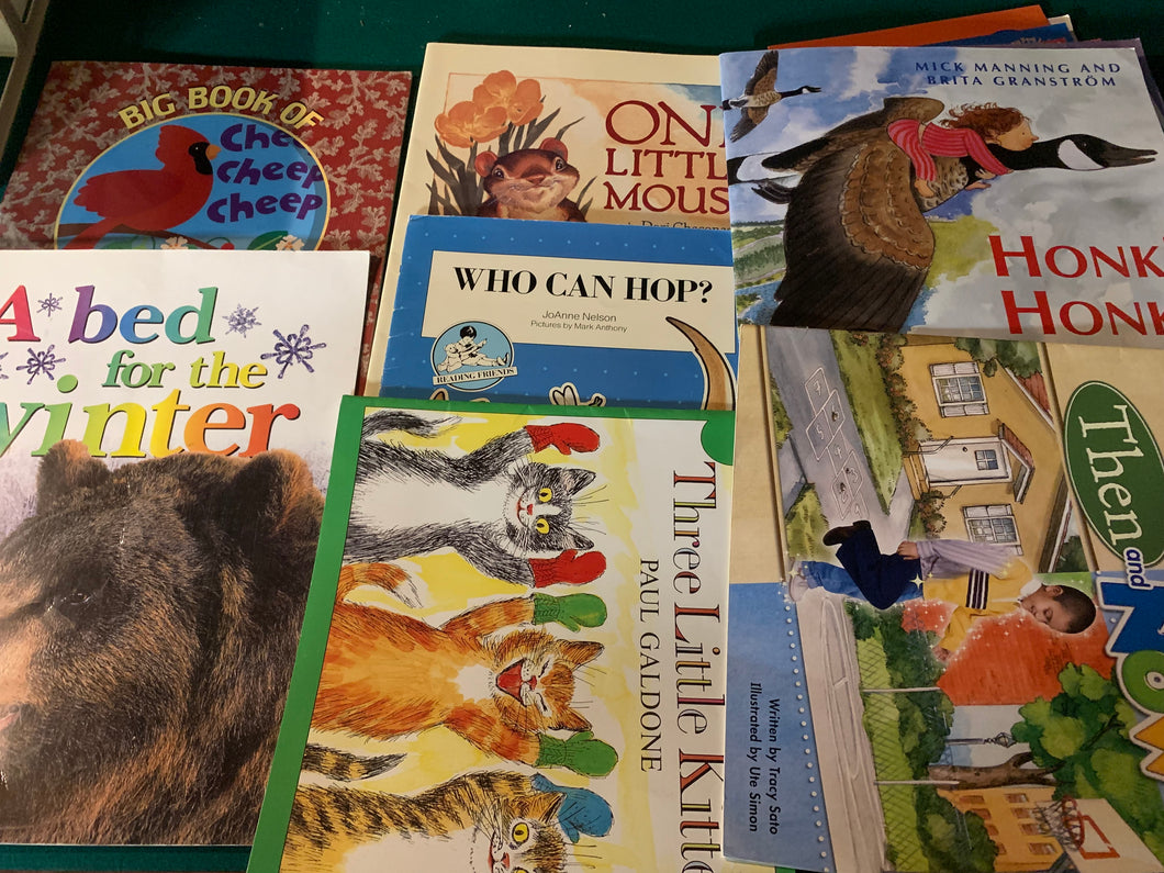 All 7 jumbo books Read along