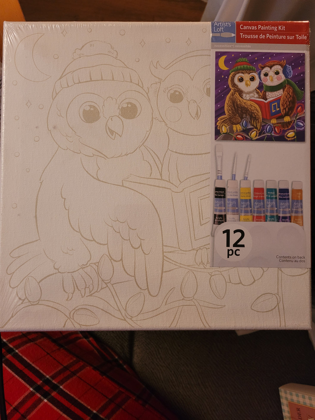 BNIP-Owls Canvas Paintin Kit