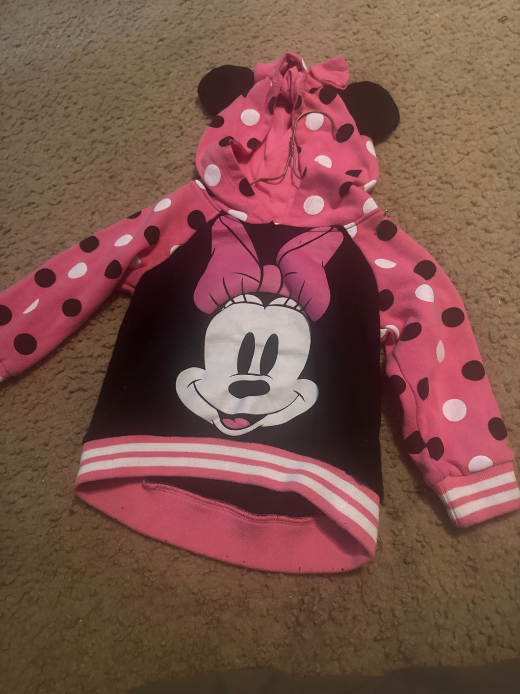 Mini hoodie - size 2T
