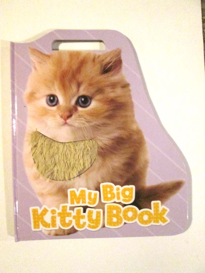 giant touch & feel book 15 x 17 board book,cat