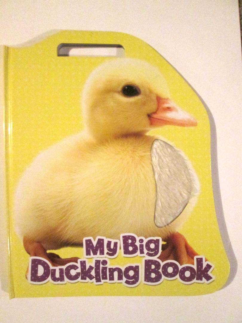 giant touch & feel book 15 x 17 board book,dk