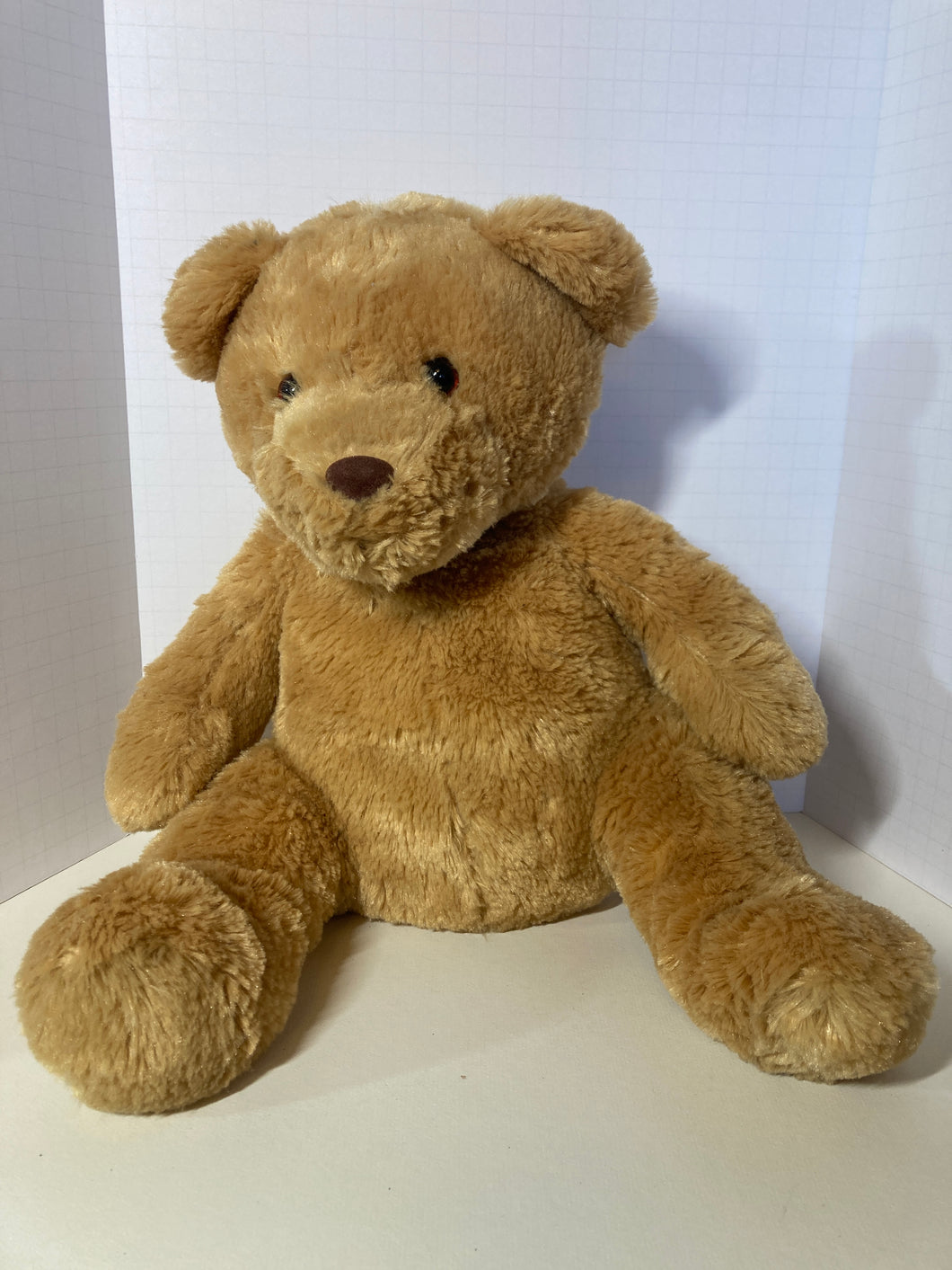 TeddyBear 12inch x 16inch Like New silky