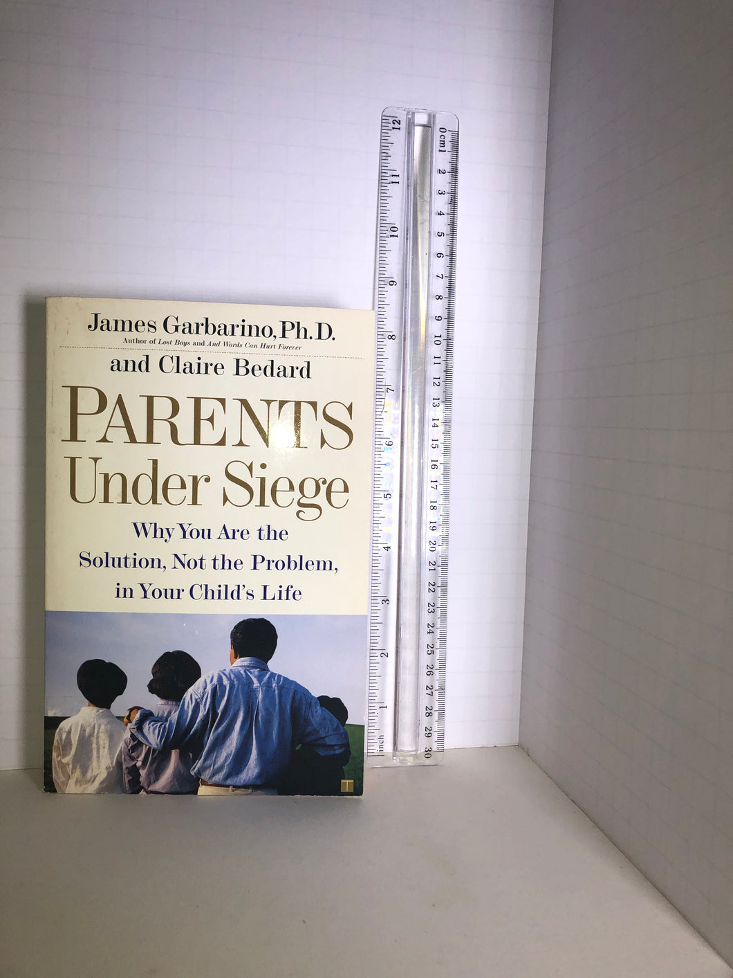 TouchStone book James Garbarino parent guide