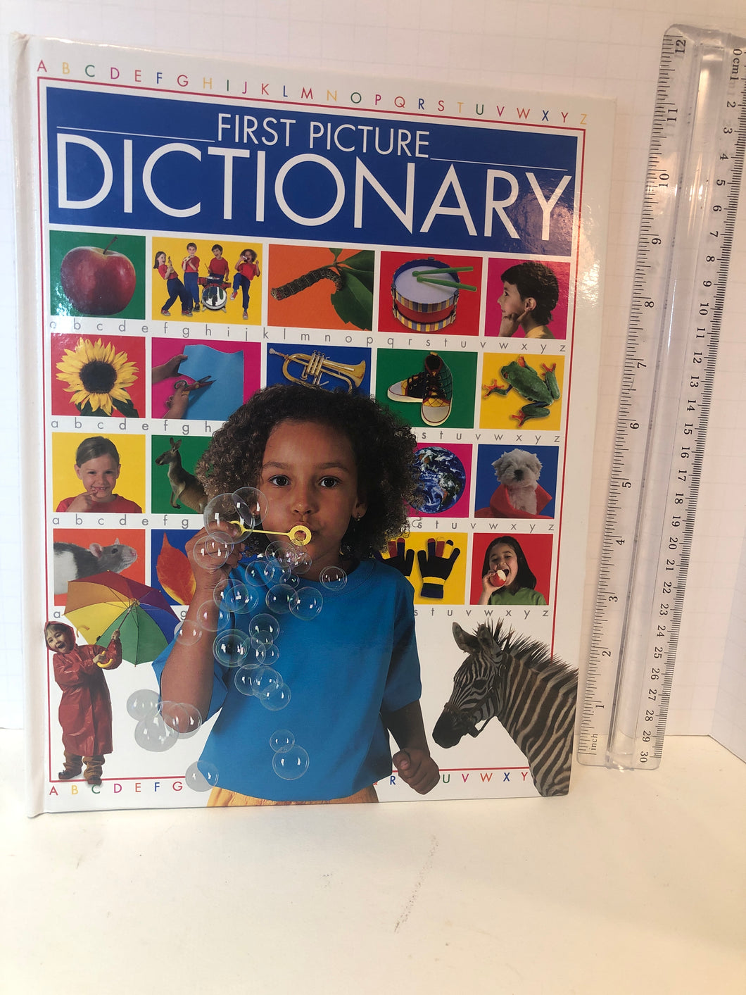 HinklerBooks First Picture Dictionary