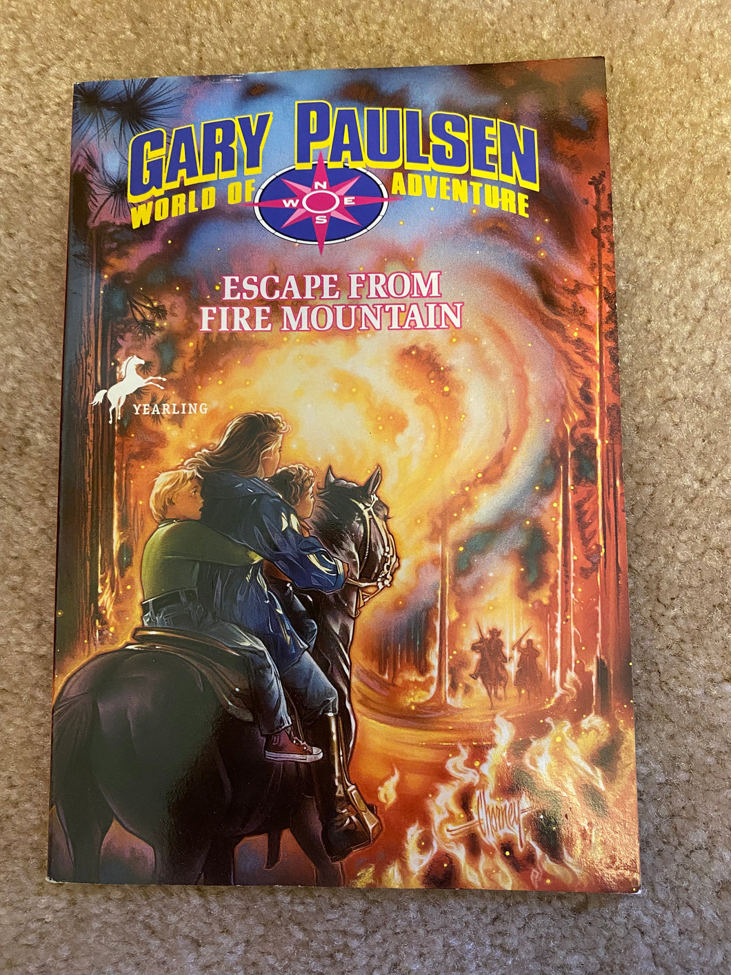 Escape from Fire Mountain by G Paulsen
