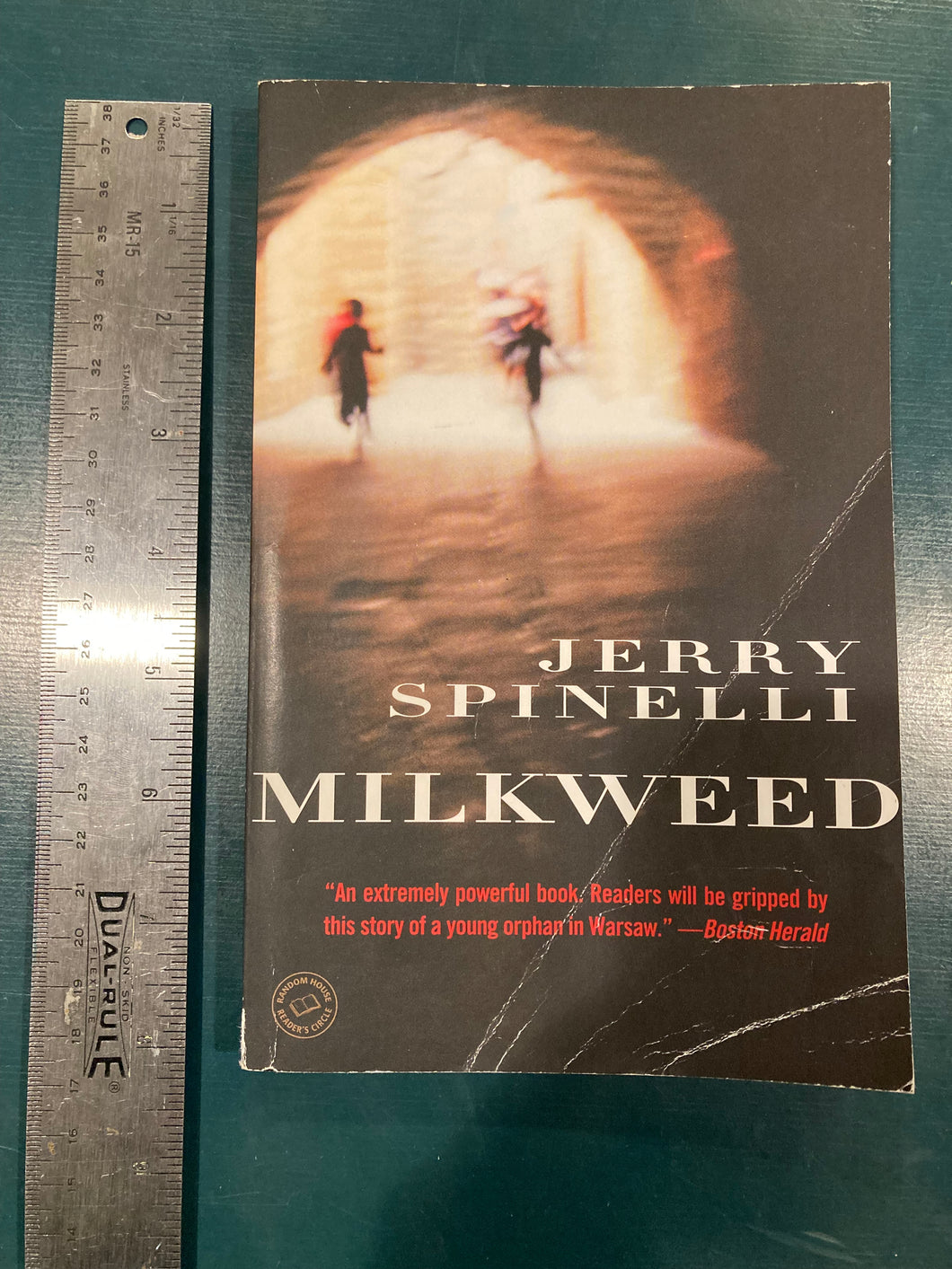 Milkweed by Jerry Spinelli