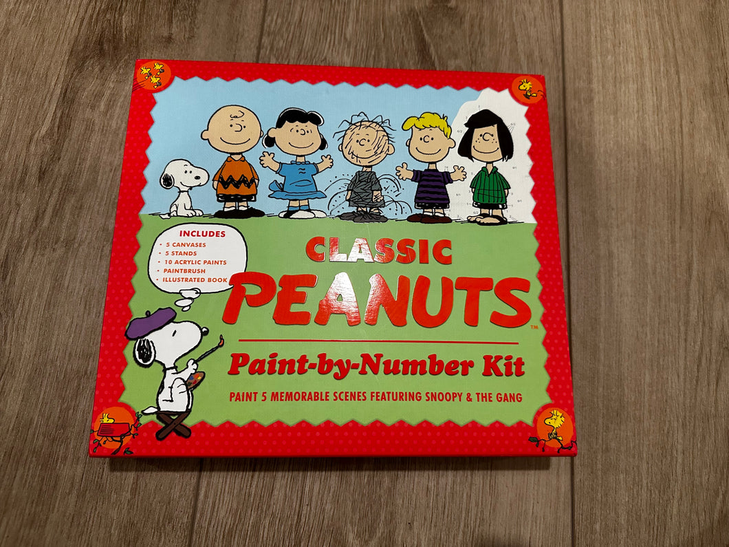 Peanuts Paint by numbers Kit