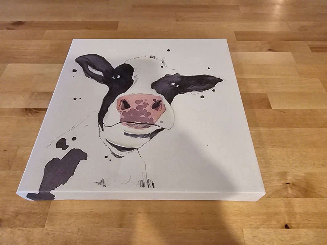 Cow painted Picture 12 by 12