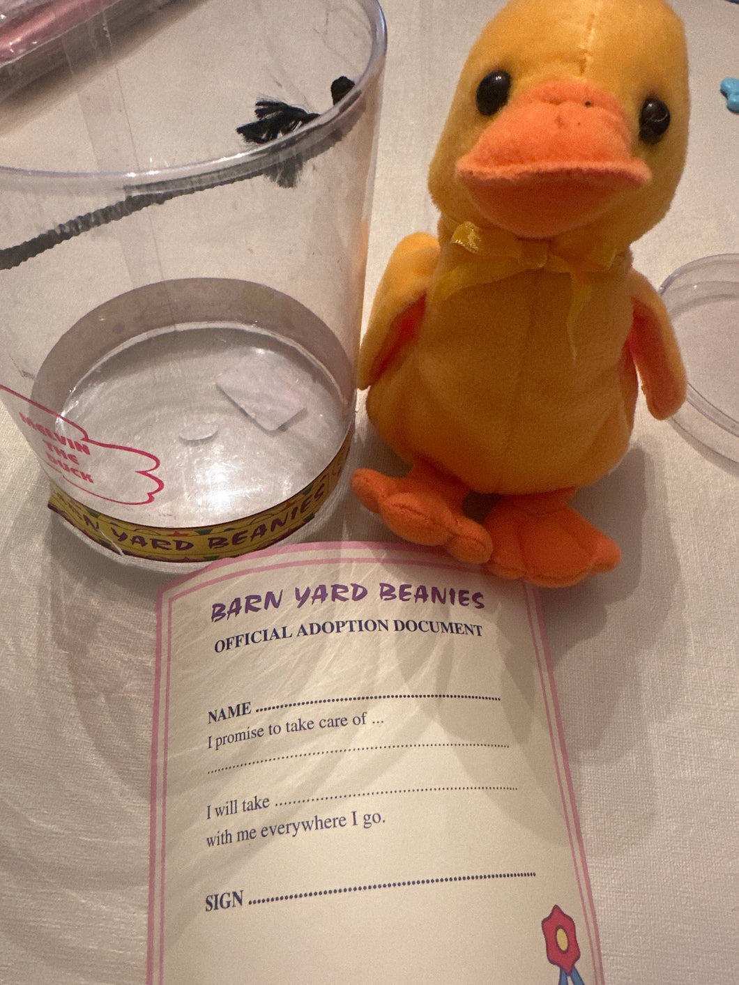 New adopt a duck Melvin the duck