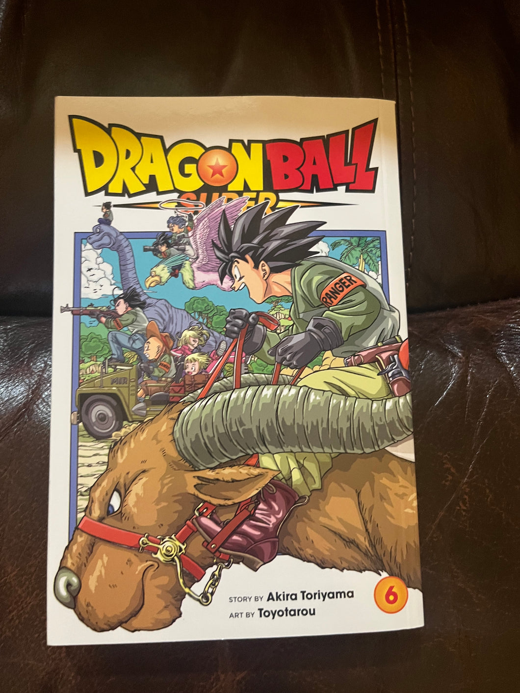 Dragonball 6 Book