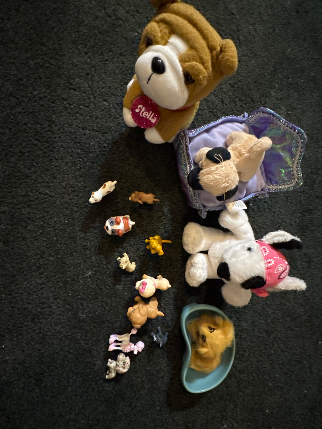 Small Puppy Lot