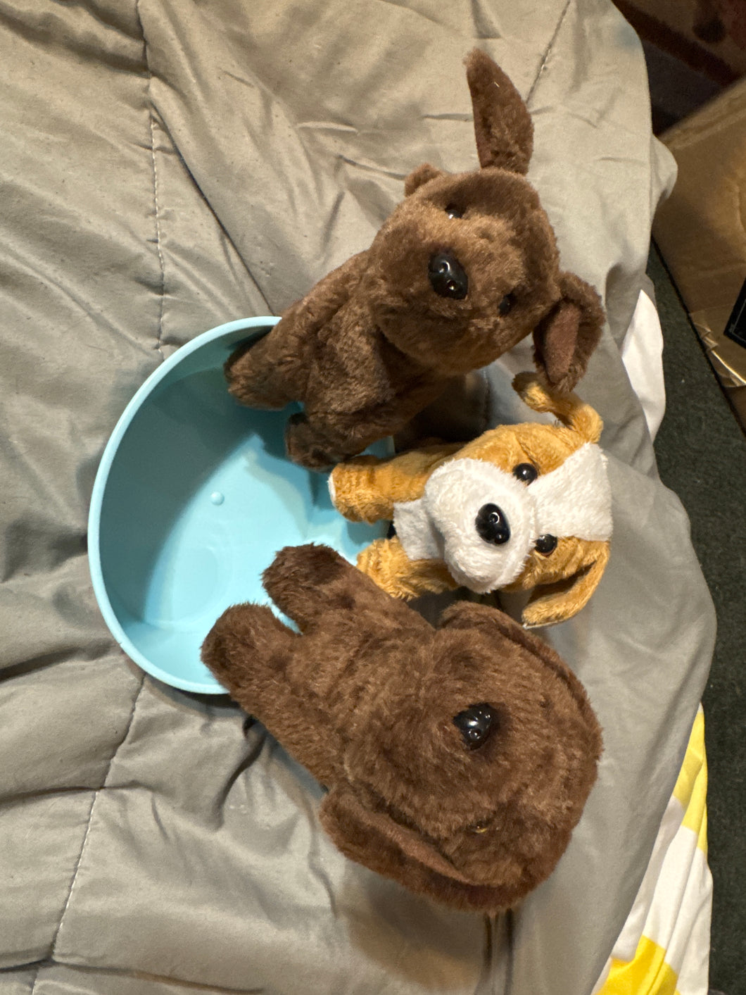American Girl dog Pets 3dogs & bed