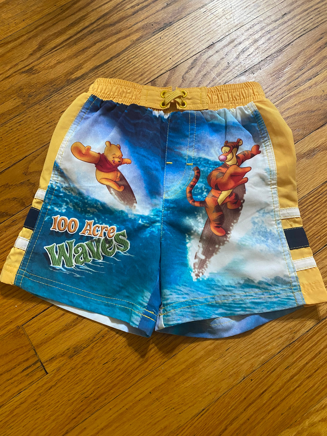 Swim shorts Winnie the Pooh - size 18 Months