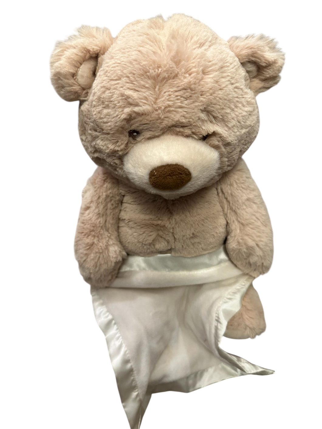 Interactive Peekaboo bear