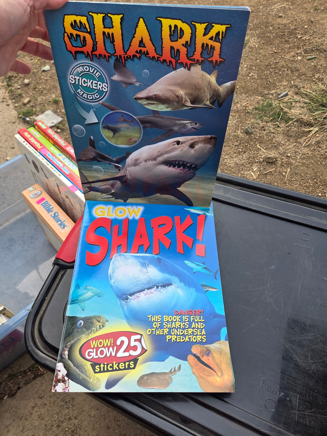 Sharks 2 pk