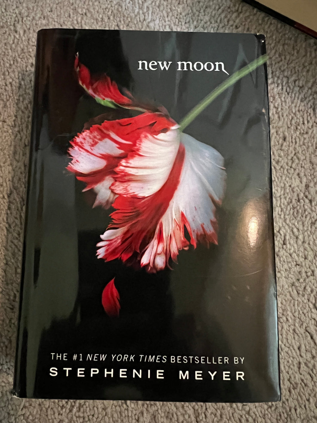 New Moon - Hard Cover