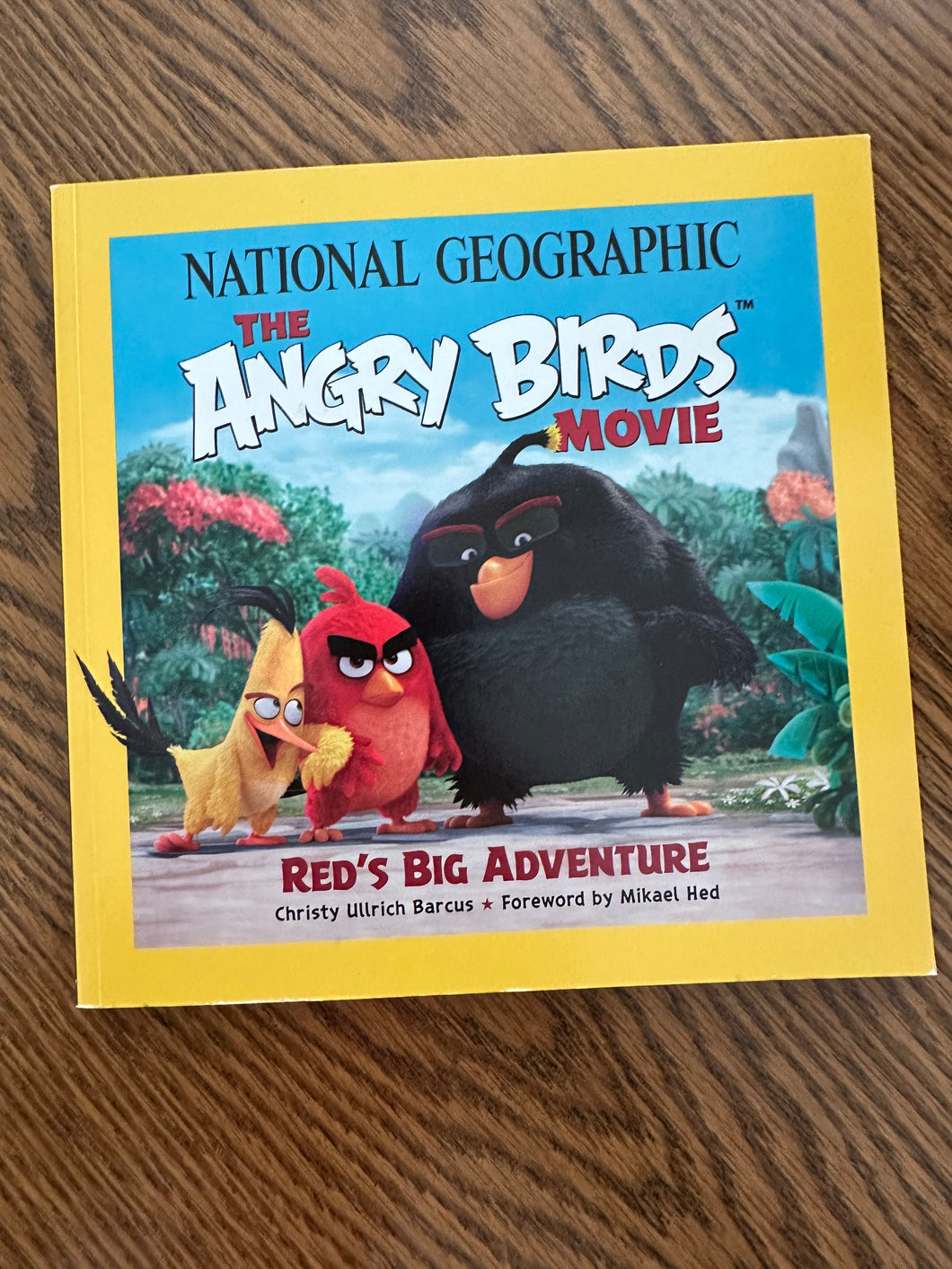 The Angry Birds Movie National Geographic