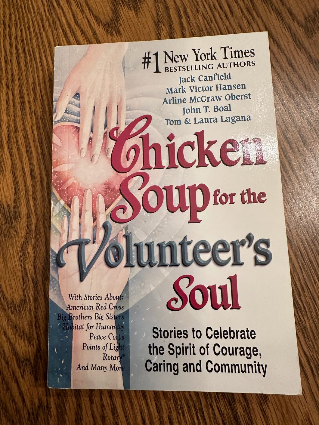 Chicken Soup Volunteer's Soul