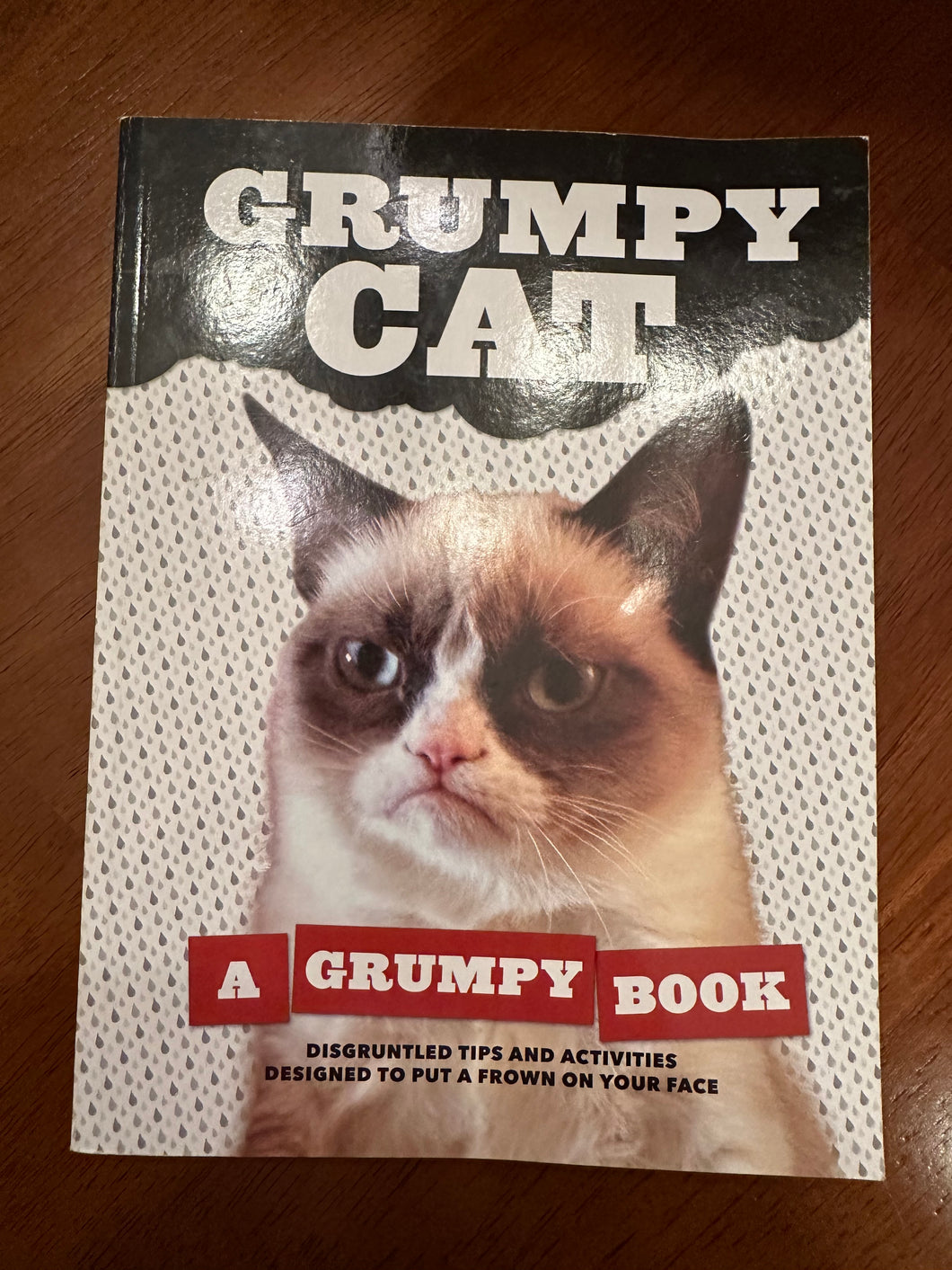 Grumpy Cat A Grumpy Book