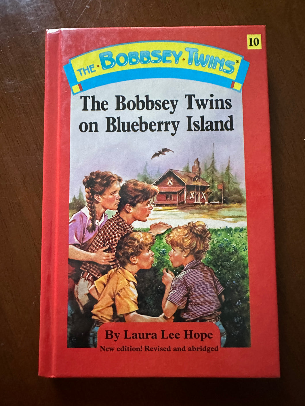 Bobbsey Twins on Blueberry Island