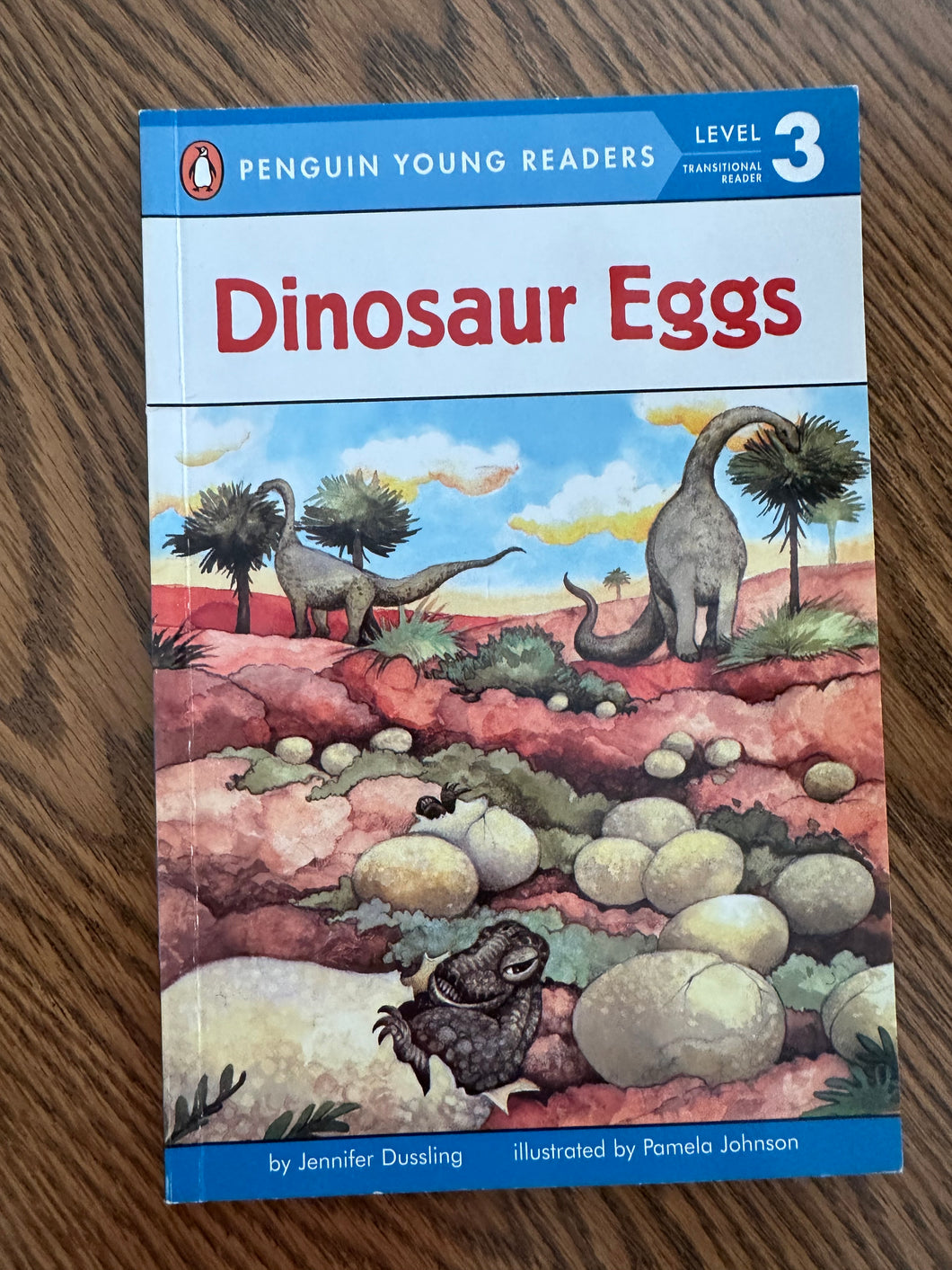 Level 3 Reader Dinosaur Eggs