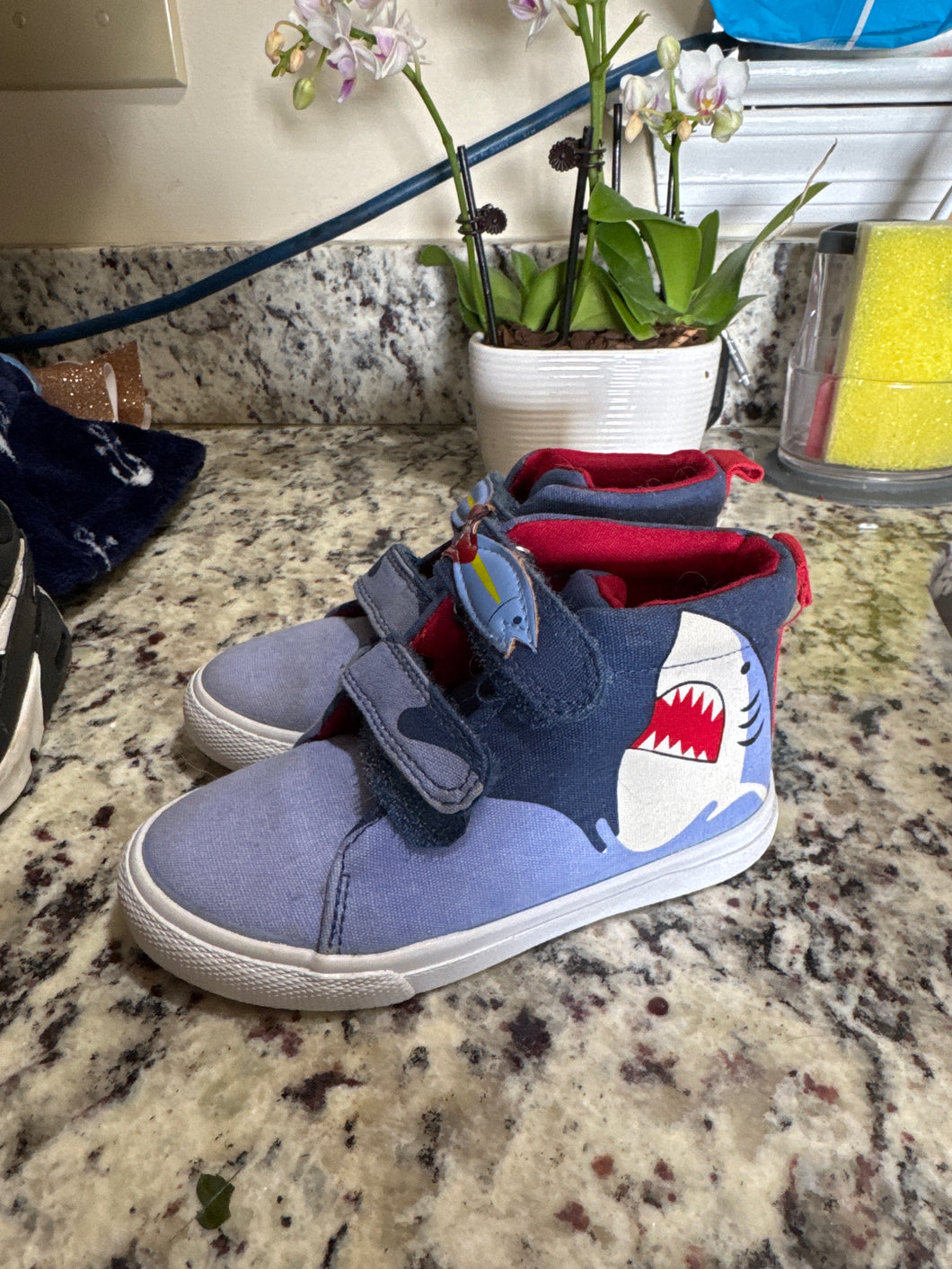 Cat & Jack size 8 shark High tops