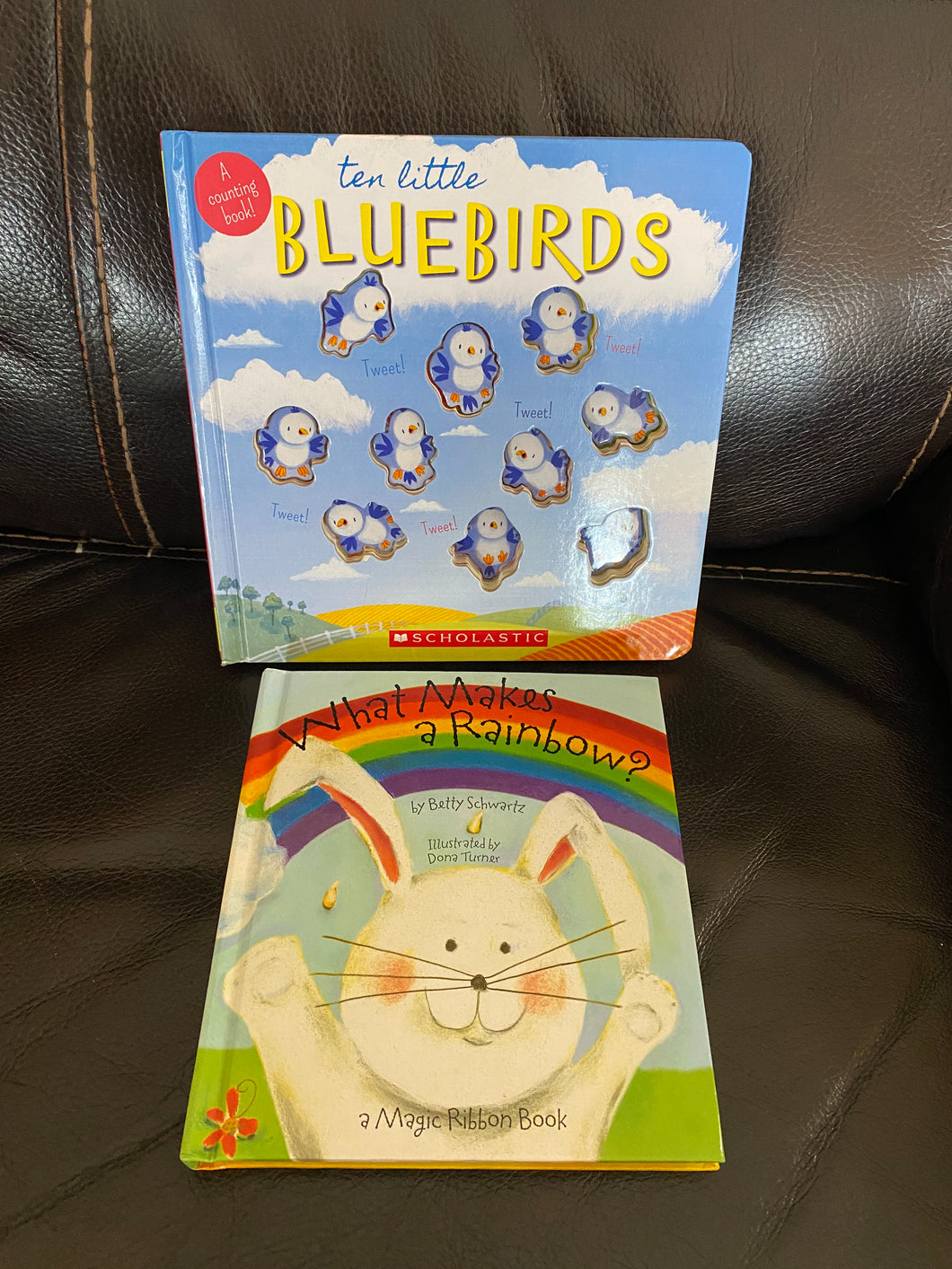 2 books- birds & rainbow