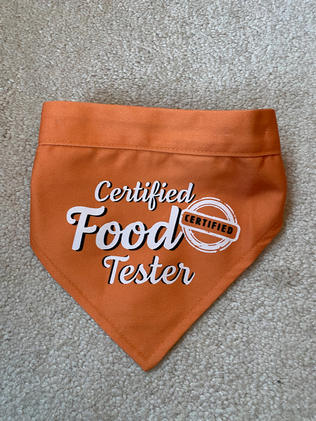 bandana for small dog food tester