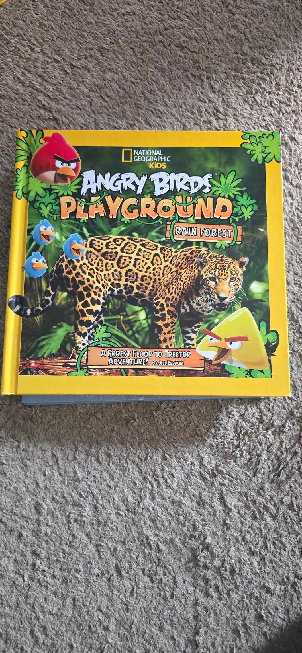 Angry Birds Playground