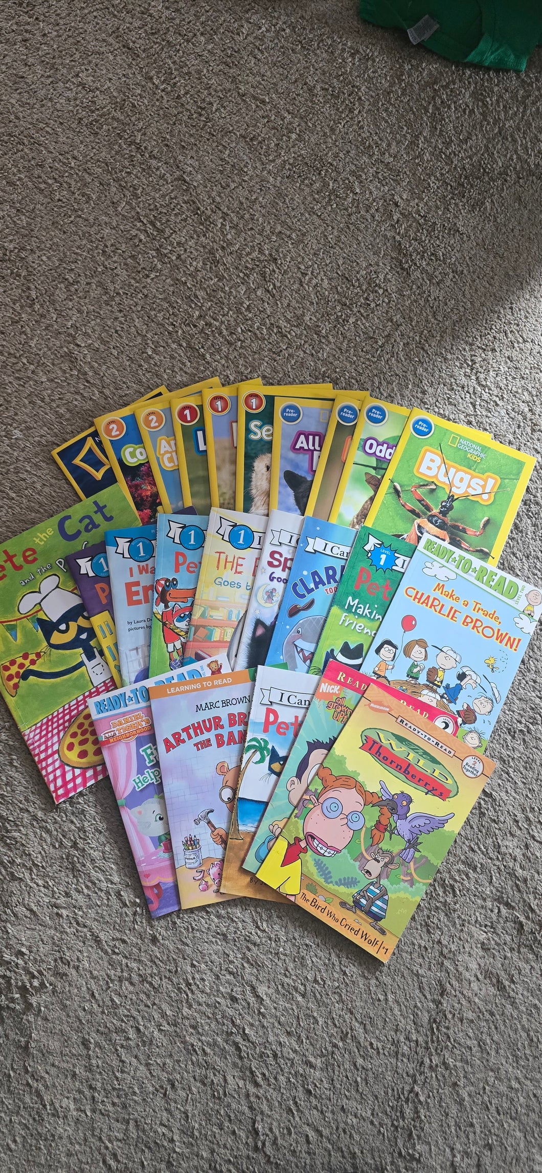 HUGE learn to read lot