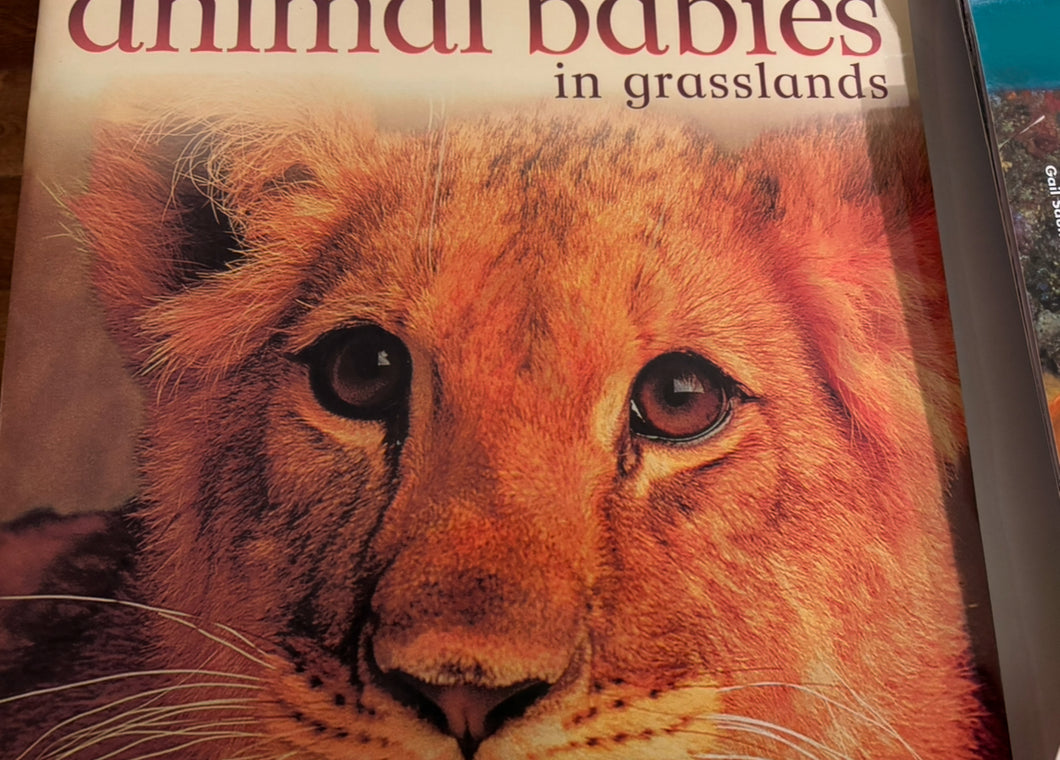 LARGE animal babies book