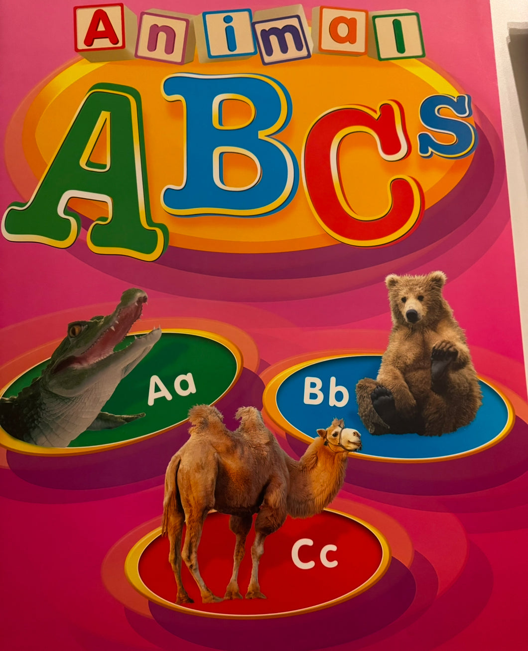 LARGE ABC book